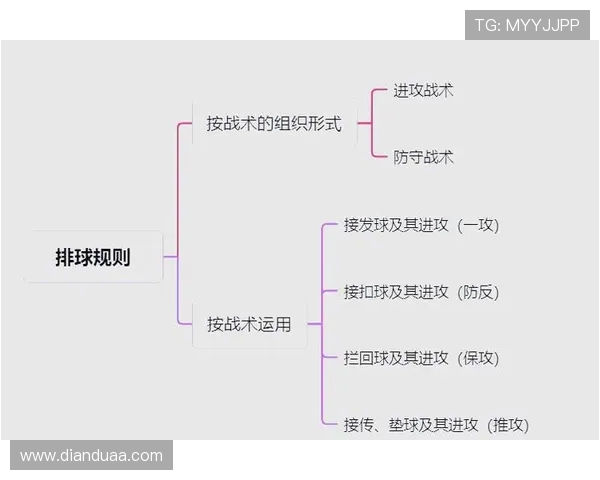 上海排球队战术节奏分析与调整对比赛成绩的影响探讨