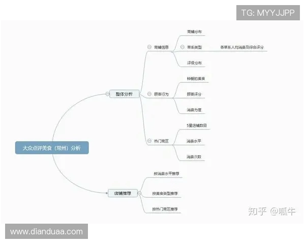 南京排球队在挑战赛中的团队协作表现分析与点评