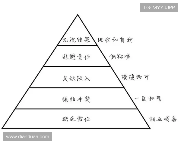 南京篮球队精英赛表现分析团队协作的重要性与未来发展方向探讨