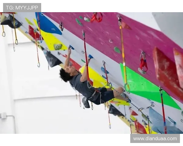 攀岩精神与团队默契的完美结合：走进杭州攀岩队的协作之道