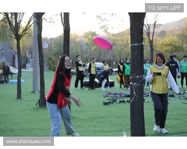 飞盘配合实力大比拼上海飞盘队荣登全国第五名榜单