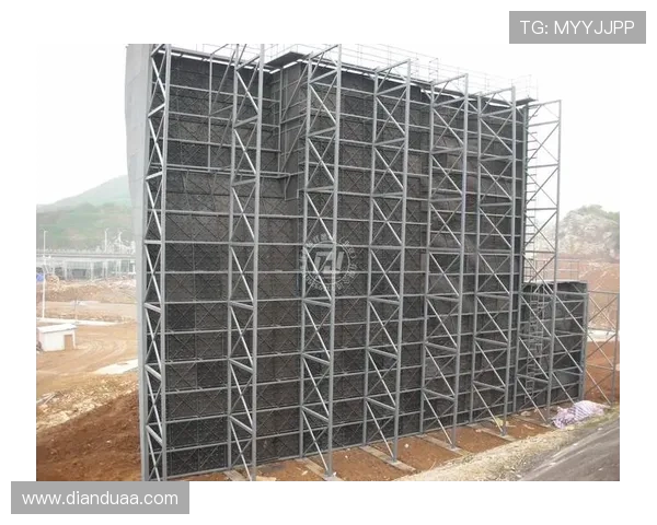 南京攀岩队战术分析与攀岩热点的深度解读