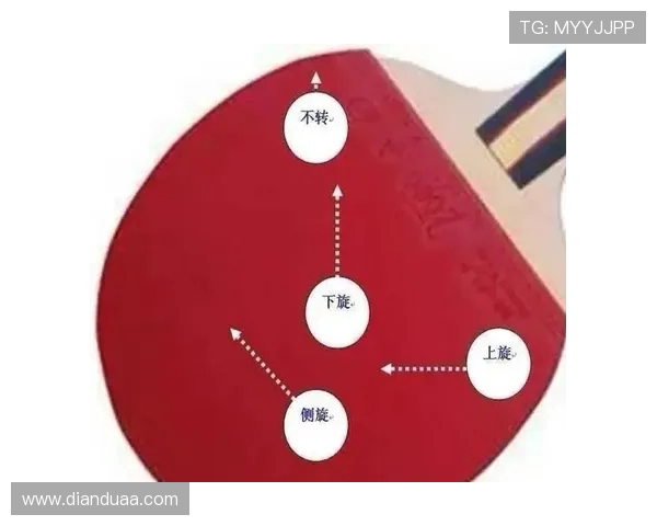赵芳独家分享乒乓球技巧与心得助你提升球技的秘诀与经验