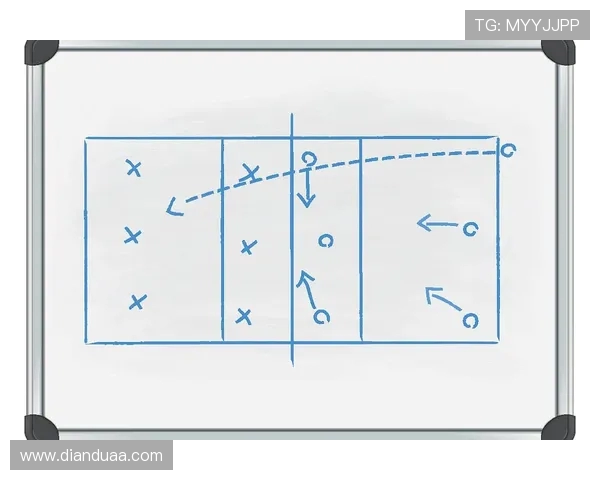 上海排球队进攻战术解析与球员表现评析