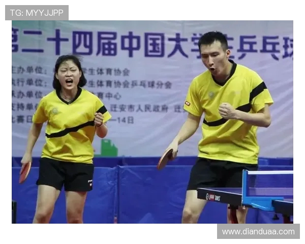 南京羽毛球队近期状态分析与联赛表现评估